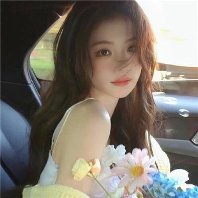 金鹰宝藏